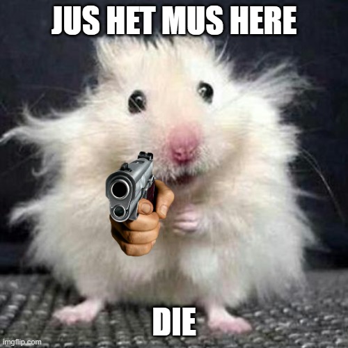 JUS HET MUS NOOOOOO- | JUS HET MUS HERE; DIE | image tagged in stressed mouse | made w/ Imgflip meme maker