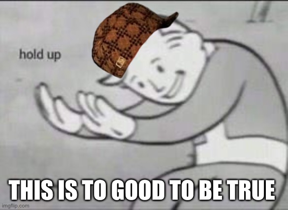 Fallout Hold Up | THIS IS TO GOOD TO BE TRUE | image tagged in fallout hold up | made w/ Imgflip meme maker