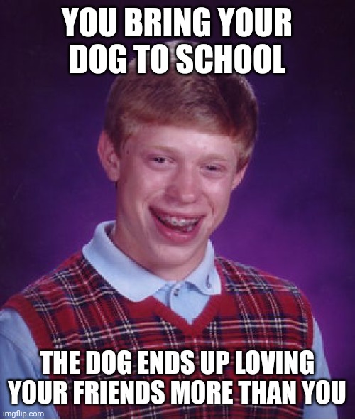Happens to me with some people | YOU BRING YOUR DOG TO SCHOOL; THE DOG ENDS UP LOVING YOUR FRIENDS MORE THAN YOU | image tagged in memes,bad luck brian | made w/ Imgflip meme maker