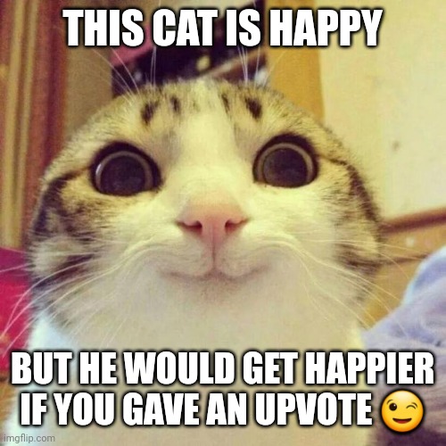 Pls | THIS CAT IS HAPPY; BUT HE WOULD GET HAPPIER IF YOU GAVE AN UPVOTE 😉 | image tagged in memes,smiling cat | made w/ Imgflip meme maker