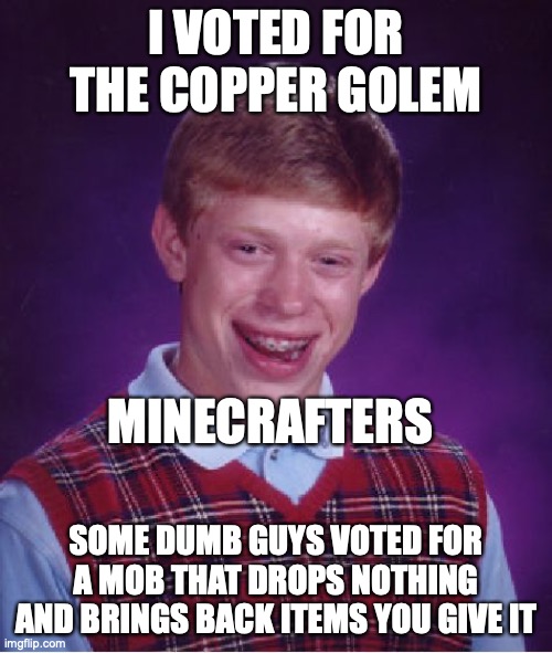 QWA | I VOTED FOR THE COPPER GOLEM; MINECRAFTERS; SOME DUMB GUYS VOTED FOR A MOB THAT DROPS NOTHING AND BRINGS BACK ITEMS YOU GIVE IT | image tagged in memes,bad luck brian | made w/ Imgflip meme maker