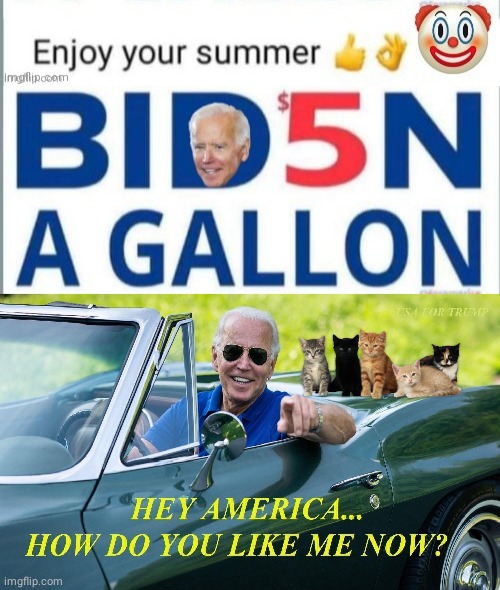 $5 a gallon Summer thanks Blowhole Joe | image tagged in joe biden | made w/ Imgflip meme maker