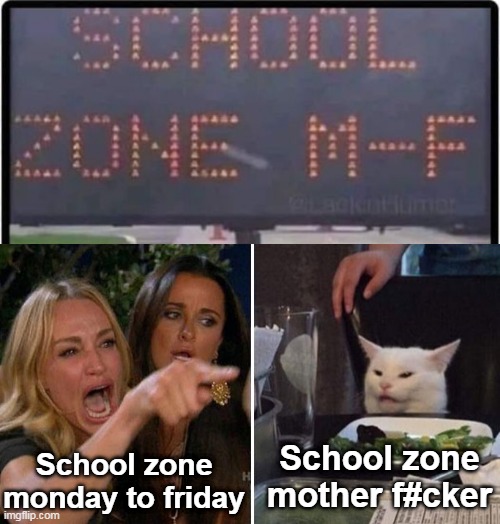  School zone monday to friday; School zone mother f#cker | image tagged in angry lady cat,memes,funny | made w/ Imgflip meme maker