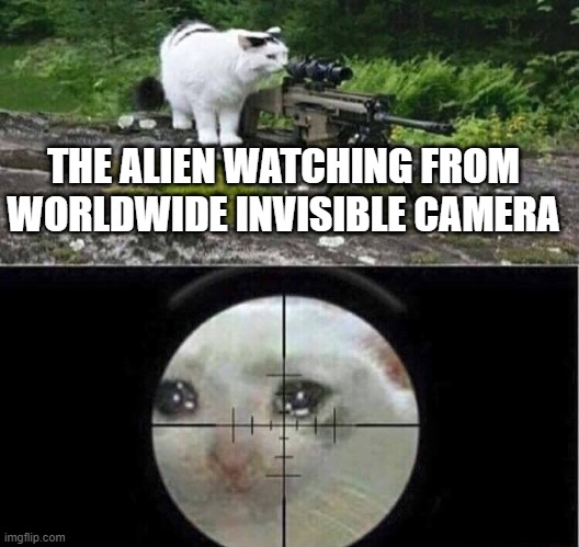 Sniper cat | THE ALIEN WATCHING FROM WORLDWIDE INVISIBLE CAMERA | image tagged in sniper cat | made w/ Imgflip meme maker