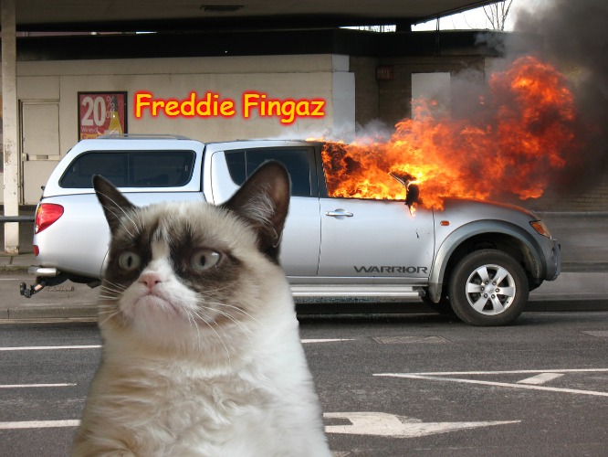 Grumpy Cat Car on Fire | Freddie Fingaz | image tagged in grumpy cat car on fire,slavic lives matter,freddie fingaz | made w/ Imgflip meme maker