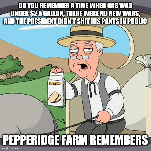 Pepperidge Farm Remembers | DO YOU REMEMBER A TIME WHEN GAS WAS UNDER $2 A GALLON, THERE WERE NO NEW WARS, AND THE PRESIDENT DIDN'T SHIT HIS PANTS IN PUBLIC; PEPPERIDGE FARM REMEMBERS | image tagged in memes,pepperidge farm remembers | made w/ Imgflip meme maker