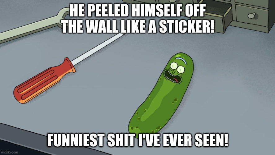 Don't try this at home kids | HE PEELED HIMSELF OFF THE WALL LIKE A STICKER! FUNNIEST SHIT I'VE EVER SEEN! | image tagged in rick and morty pickle rick | made w/ Imgflip meme maker