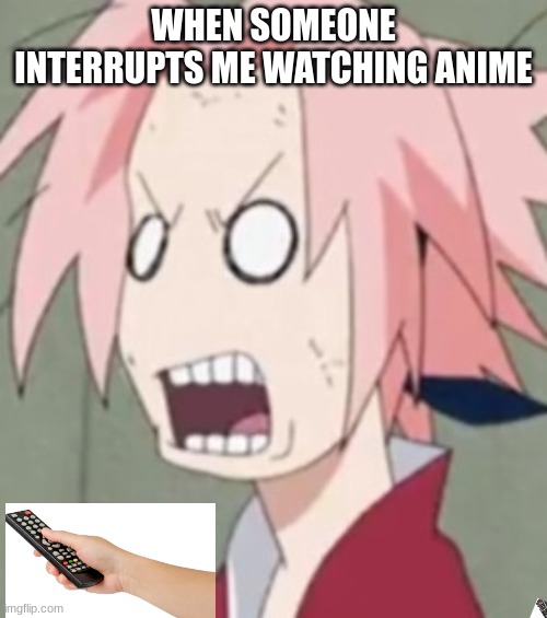 when someone interrupts me watching anime | WHEN SOMEONE INTERRUPTS ME WATCHING ANIME | image tagged in memes,sakura | made w/ Imgflip meme maker