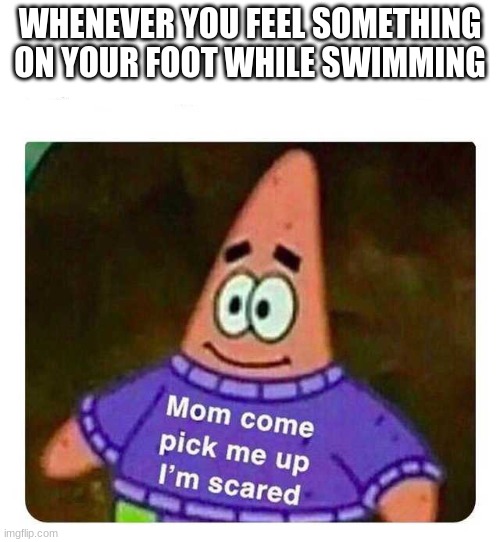 this doesn't apply to public pools | WHENEVER YOU FEEL SOMETHING ON YOUR FOOT WHILE SWIMMING | image tagged in patrick mom come pick me up i'm scared | made w/ Imgflip meme maker