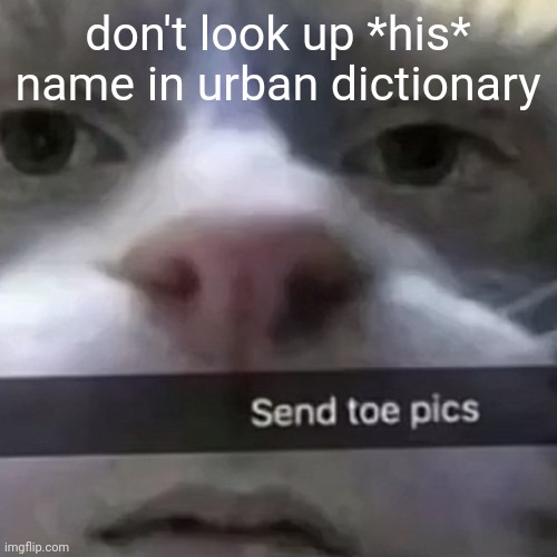 many lies are told | don't look up *his* name in urban dictionary | image tagged in kat | made w/ Imgflip meme maker