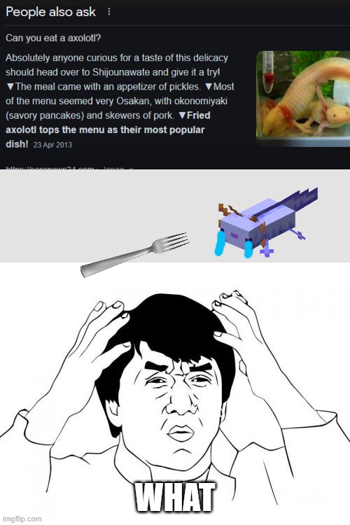 axolotl....what |  WHAT | image tagged in memes,jackie chan wtf,axolotl | made w/ Imgflip meme maker
