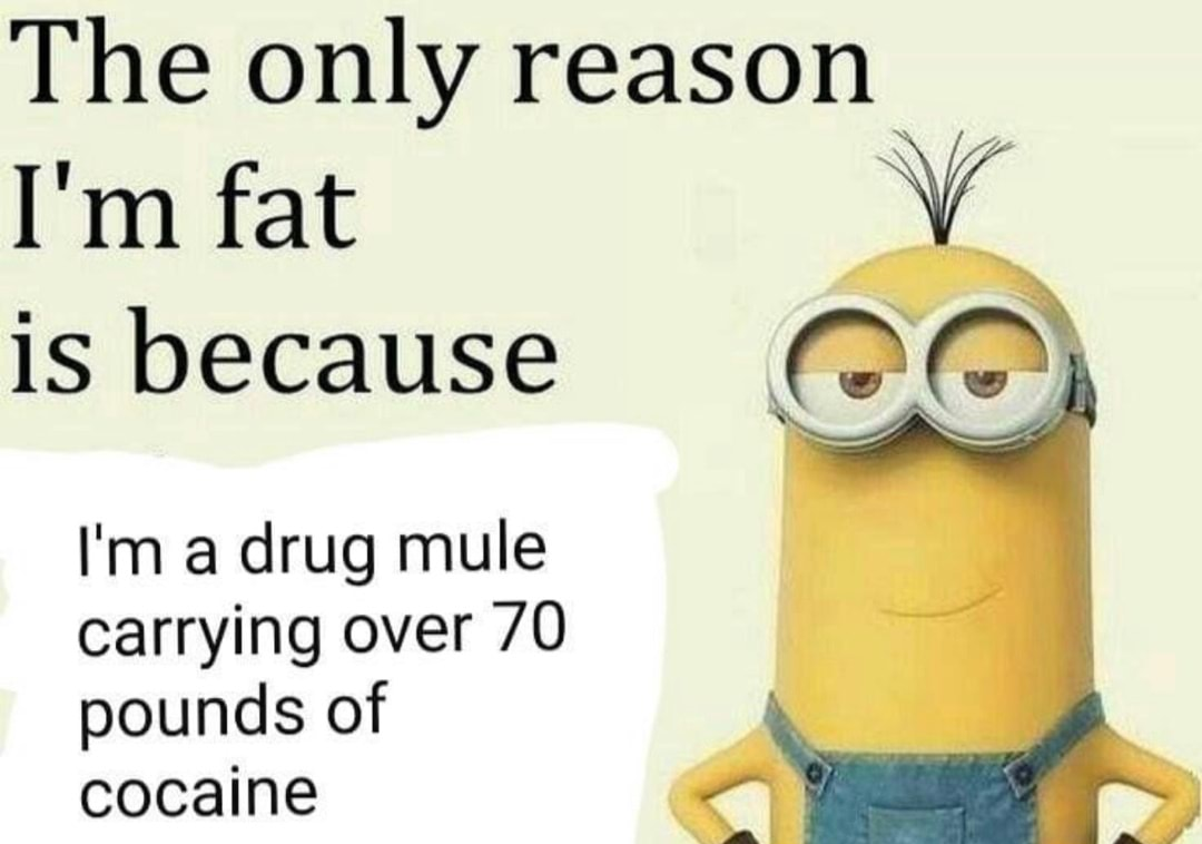 High Quality Drug Mule Blank Meme Template