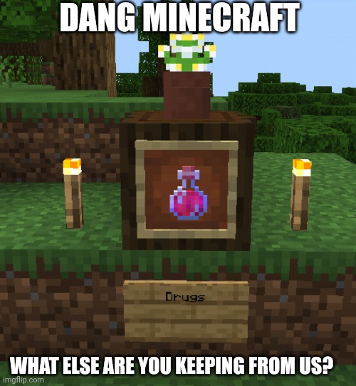 High Minecraft | DANG MINECRAFT; WHAT ELSE ARE YOU KEEPING FROM US? | image tagged in memes,minecraft,gaming | made w/ Imgflip meme maker