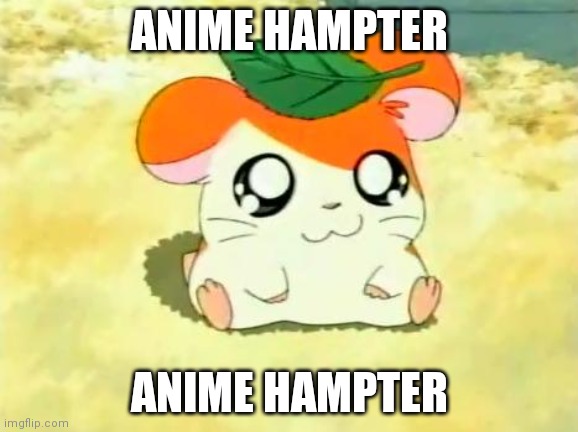 Anime hampter | ANIME HAMPTER; ANIME HAMPTER | image tagged in memes,hamtaro | made w/ Imgflip meme maker