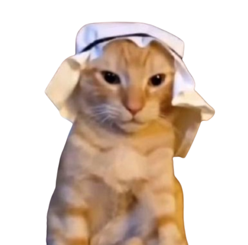 High Quality Habibi cat Blank Meme Template