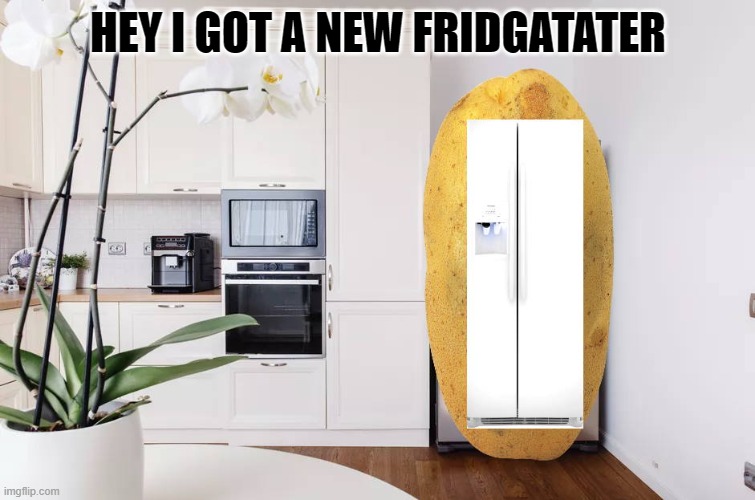 got a new fridge-a-tater | HEY I GOT A NEW FRIDGATATER | image tagged in fridgatater,kewlew | made w/ Imgflip meme maker