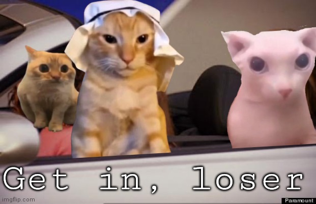 <3 | Get in, loser | image tagged in spoingus time | made w/ Imgflip meme maker