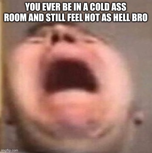 . | YOU EVER BE IN A COLD ASS ROOM AND STILL FEEL HOT AS HELL BRO | made w/ Imgflip meme maker