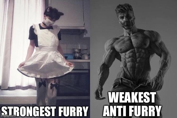 Strongest Fan VS Weakest Fan | STRONGEST FURRY; WEAKEST ANTI FURRY | image tagged in strongest fan vs weakest fan | made w/ Imgflip meme maker