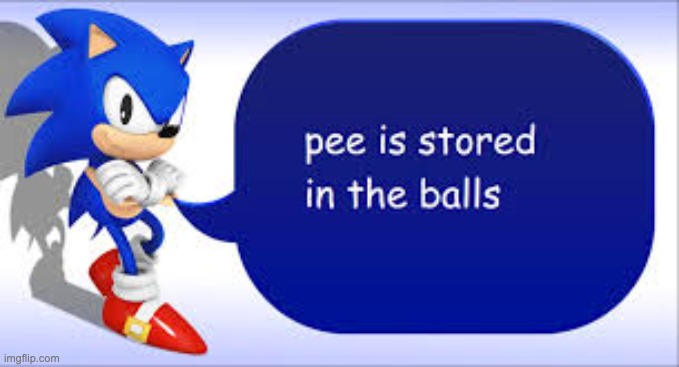 sonic be spittin facts | made w/ Imgflip meme maker