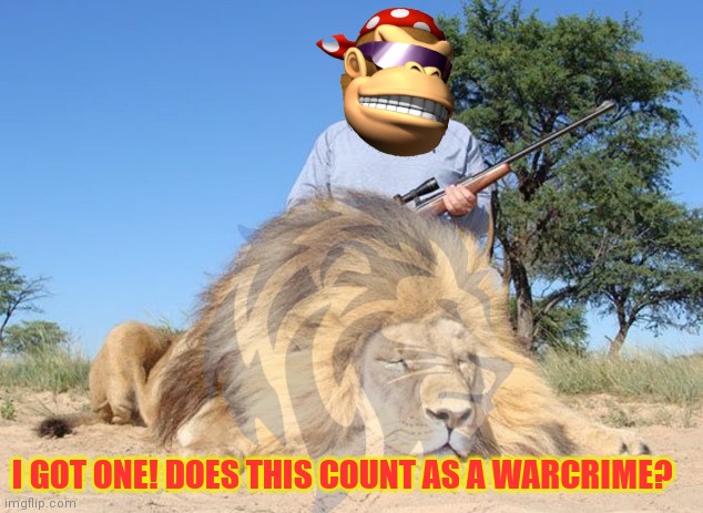 The monkee tales a short break from war crimes | I GOT ONE! DOES THIS COUNT AS A WARCRIME? | image tagged in lion,hunting season,get the gun,cp party,still sux | made w/ Imgflip meme maker