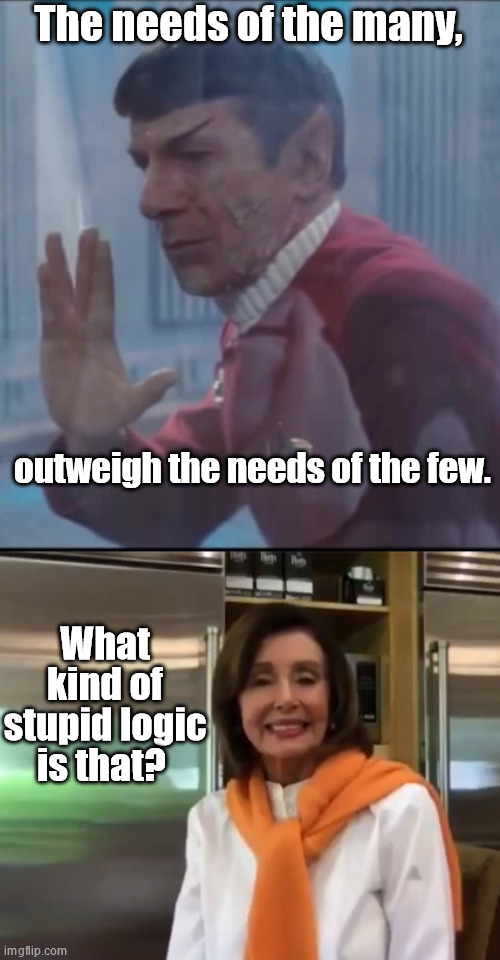 The Wrath of 'Nan' | The needs of the many, outweigh the needs of the few. What kind of stupid logic is that? | image tagged in nancy pelosi,new world order,star trek | made w/ Imgflip meme maker