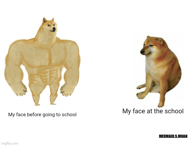 I kinda hate going to school | My face at the school; My face before going to school; MERMAID.S.MOAN | image tagged in memes,buff doge vs cheems | made w/ Imgflip meme maker