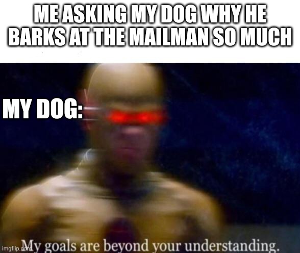 The dogs rules are rules of the dog | ME ASKING MY DOG WHY HE BARKS AT THE MAILMAN SO MUCH; MY DOG: | image tagged in my goals are beyond your understanding | made w/ Imgflip meme maker