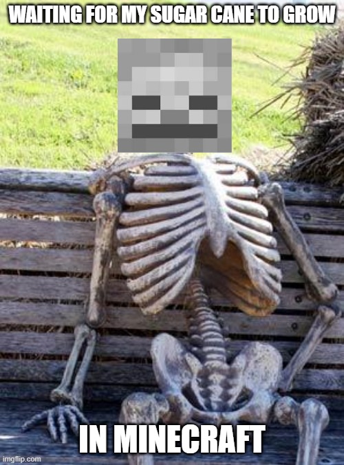 I didn't sit the whole time tho |  WAITING FOR MY SUGAR CANE TO GROW; IN MINECRAFT | image tagged in memes,waiting skeleton,minecraft,sugar cane | made w/ Imgflip meme maker