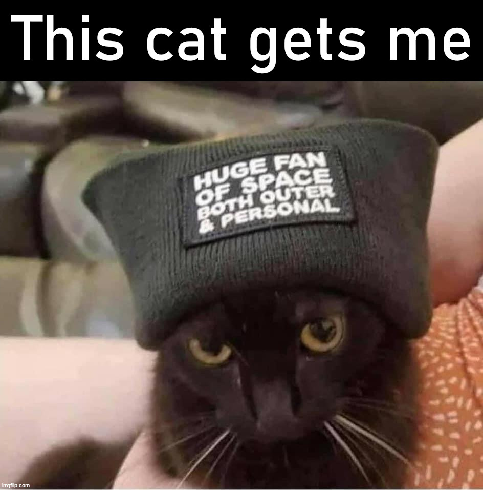This cat gets me | image tagged in understanding | made w/ Imgflip meme maker