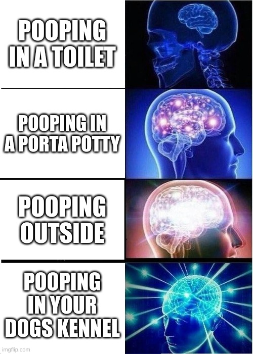 Expanding Brain Meme | POOPING IN A TOILET; POOPING IN A PORTA POTTY; POOPING OUTSIDE; POOPING IN YOUR DOGS KENNEL | image tagged in memes,expanding brain | made w/ Imgflip meme maker