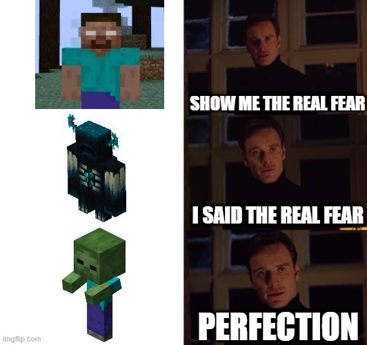 I disagree |  SHOW ME THE REAL FEAR; I SAID THE REAL FEAR; PERFECTION | image tagged in perfection,minecraft,memes,relatable | made w/ Imgflip meme maker