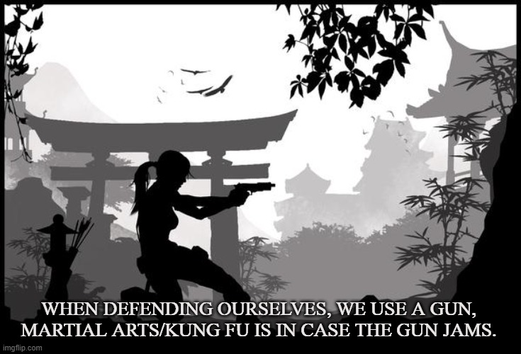 USE ALL AVAILABLE WEAPONS | WHEN DEFENDING OURSELVES, WE USE A GUN, 
MARTIAL ARTS/KUNG FU IS IN CASE THE GUN JAMS. | image tagged in kung fu,karate,martial arts,self defense,guns,weapon | made w/ Imgflip meme maker