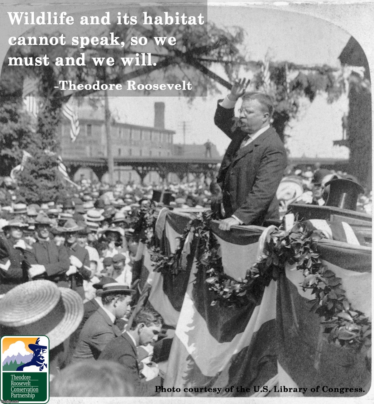 Anti-cringe at Teddy! | image tagged in teddy roosevelt quote environment | made w/ Imgflip meme maker