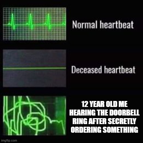 heartbeat rate | 12 YEAR OLD ME HEARING THE DOORBELL RING AFTER SECRETLY ORDERING SOMETHING | image tagged in heartbeat rate | made w/ Imgflip meme maker