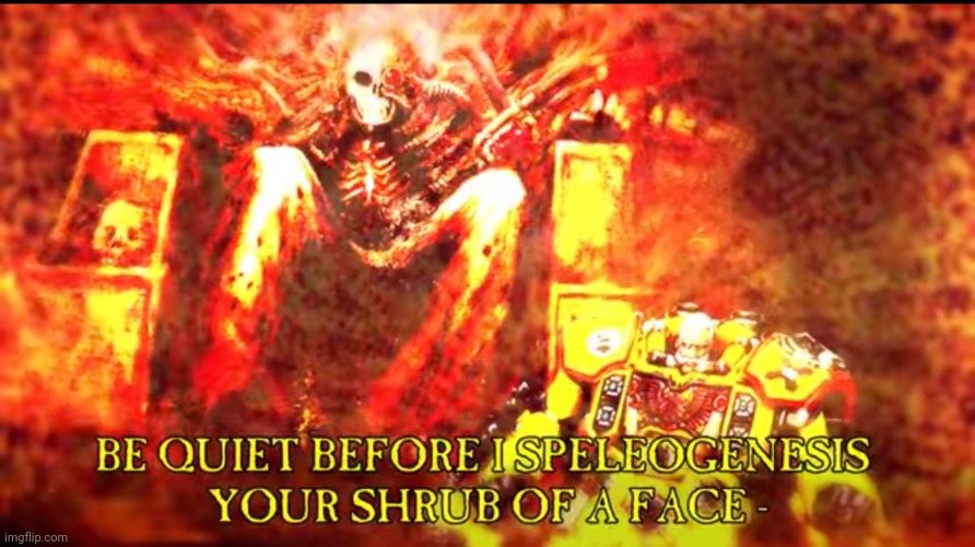 Emperor angry | image tagged in emperor angry | made w/ Imgflip meme maker
