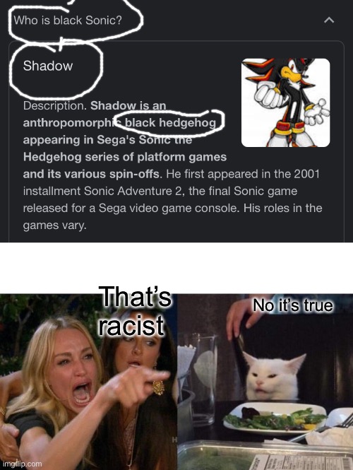 That’s racist; No it’s true | image tagged in memes,woman yelling at cat | made w/ Imgflip meme maker