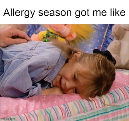 Michelle Crying on Bed | Allergy season got me like | image tagged in michelle crying on bed,meme,memes,humor,allergies | made w/ Imgflip meme maker