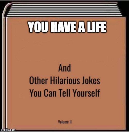 And other hilarious jokes you can tell yourself | YOU HAVE A LIFE | image tagged in and other hilarious jokes you can tell yourself | made w/ Imgflip meme maker