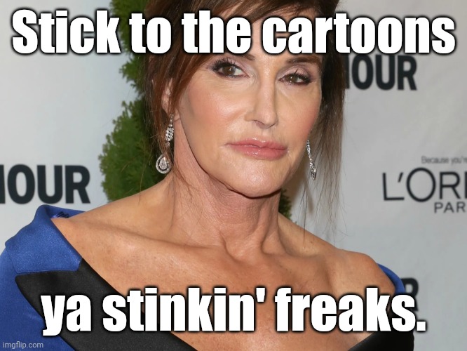 Bruce Jenner, Woman of the Year | Stick to the cartoons ya stinkin' freaks. | image tagged in bruce jenner woman of the year | made w/ Imgflip meme maker