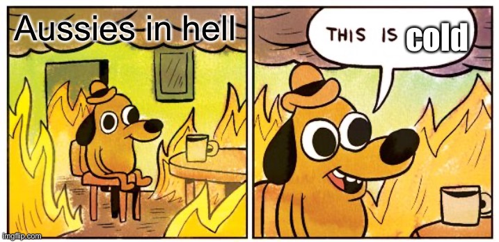 This Is Fine Meme | Aussies in hell cold | image tagged in memes,this is fine | made w/ Imgflip meme maker