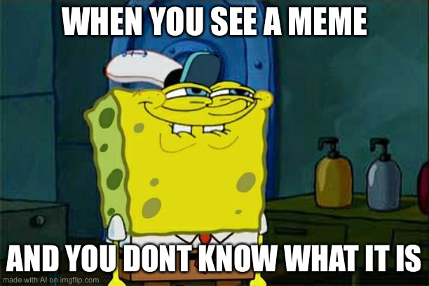 Don't You Squidward | WHEN YOU SEE A MEME; AND YOU DONT KNOW WHAT IT IS | image tagged in memes,don't you squidward | made w/ Imgflip meme maker