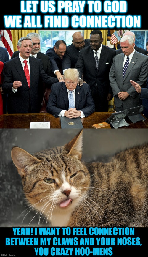 This #Lolcat wonders if we all should pray to God for connection | LET US PRAY TO GOD
WE ALL FIND CONNECTION; YEAH! I WANT TO FEEL CONNECTION
BETWEEN MY CLAWS AND YOUR NOSES,
YOU CRAZY HOO-MENS | image tagged in lolcat,gop hypocrite,hypocrites,evangelicals,donald trump | made w/ Imgflip meme maker