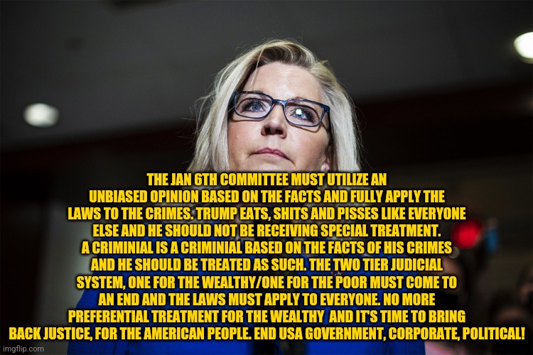 Liz Cheney | THE JAN 6TH COMMITTEE MUST UTILIZE AN UNBIASED OPINION BASED ON THE FACTS AND FULLY APPLY THE LAWS TO THE CRIMES. TRUMP EATS, SHITS AND PISSES LIKE EVERYONE ELSE AND HE SHOULD NOT BE RECEIVING SPECIAL TREATMENT. A CRIMINIAL IS A CRIMINIAL BASED ON THE FACTS OF HIS CRIMES AND HE SHOULD BE TREATED AS SUCH. THE TWO TIER JUDICIAL SYSTEM, ONE FOR THE WEALTHY/ONE FOR THE POOR MUST COME TO AN END AND THE LAWS MUST APPLY TO EVERYONE. NO MORE PREFERENTIAL TREATMENT FOR THE WEALTHY  AND IT'S TIME TO BRING BACK JUSTICE, FOR THE AMERICAN PEOPLE. END USA GOVERNMENT, CORPORATE, POLITICAL! | image tagged in liz cheney | made w/ Imgflip meme maker