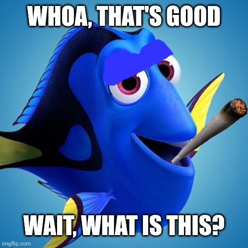 Dory from Finding Nemo | WHOA, THAT'S GOOD WAIT, WHAT IS THIS? | image tagged in dory from finding nemo | made w/ Imgflip meme maker