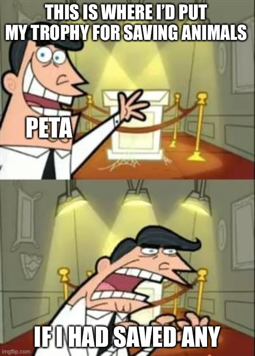 THIS IS WHERE I’D PUT MY TROPHY FOR SAVING ANIMALS IF I HAD SAVED ANY PETA | image tagged in memes,this is where i'd put my trophy if i had one | made w/ Imgflip meme maker
