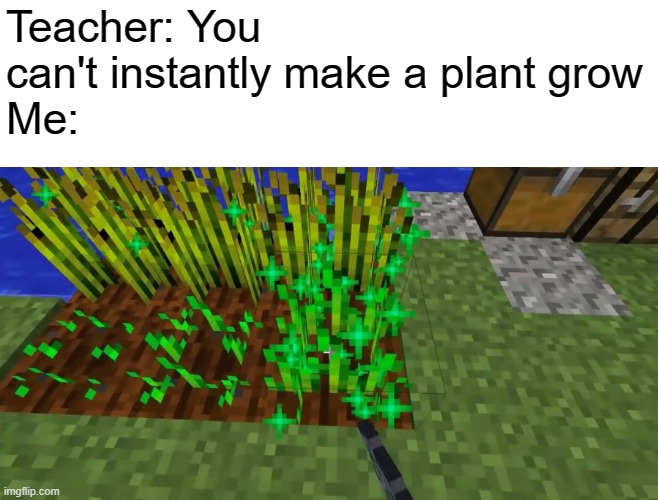 :) | Teacher: You can't instantly make a plant grow
Me: | image tagged in minecraft,memes,funny | made w/ Imgflip meme maker