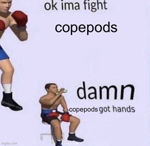 damn | copepods; copepods | image tagged in damn got hands | made w/ Imgflip meme maker