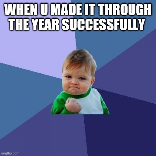 Made it | WHEN U MADE IT THROUGH THE YEAR SUCCESSFULLY | image tagged in memes,success kid | made w/ Imgflip meme maker