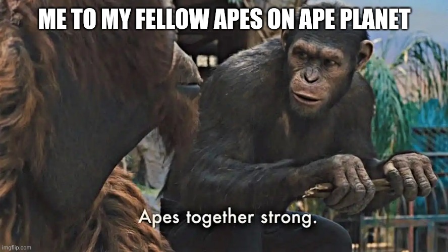 Ape | ME TO MY FELLOW APES ON APE PLANET | image tagged in ape together strong | made w/ Imgflip meme maker